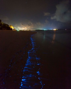 Bioluminescent_SeaSparkle_Maldives _4708